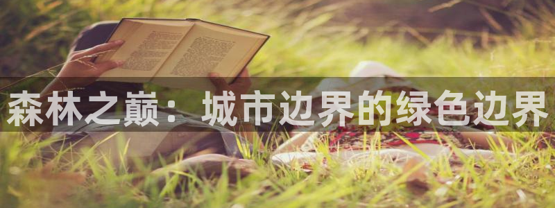 摩根娱乐宝账户