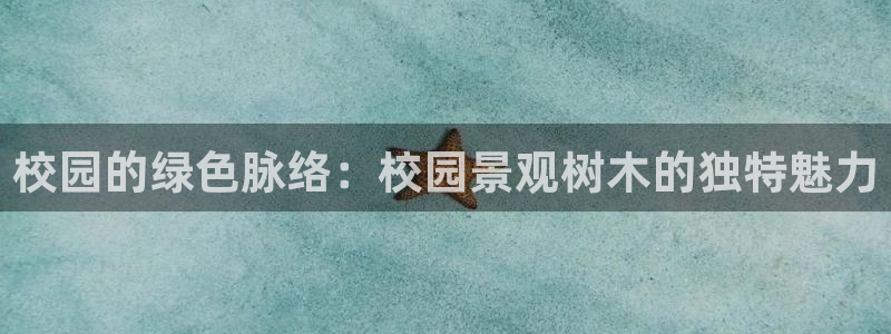 成都摩根娱乐会所