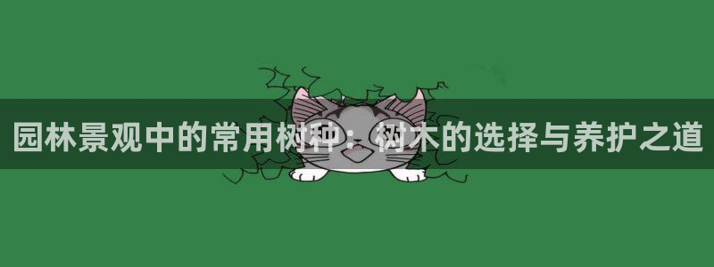 义务摩根娱乐会所电话