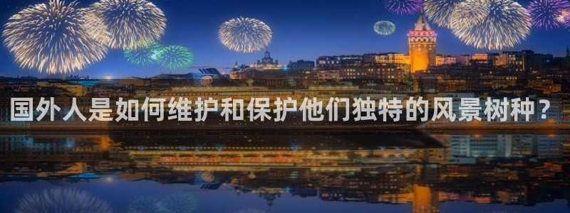摩根娱乐套路