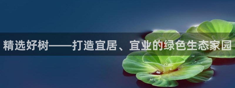 摩根娱乐宝招商
