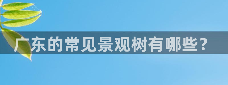 摩根娱乐彩票挂机