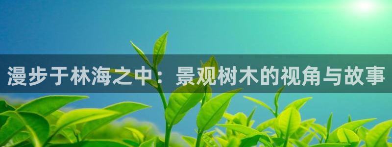 摩根国际娱乐宝