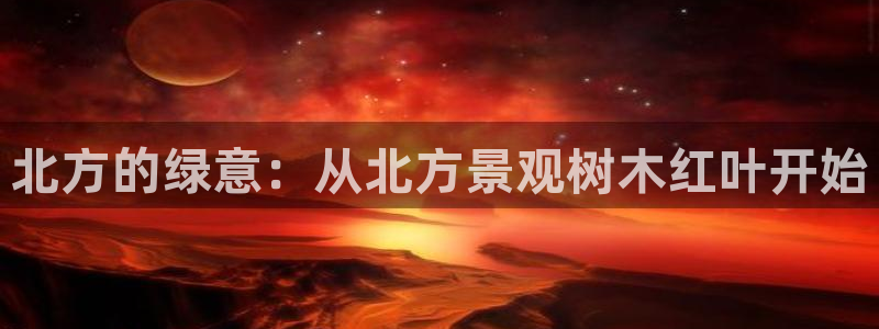 摩根国际 亚太 娱乐宝
