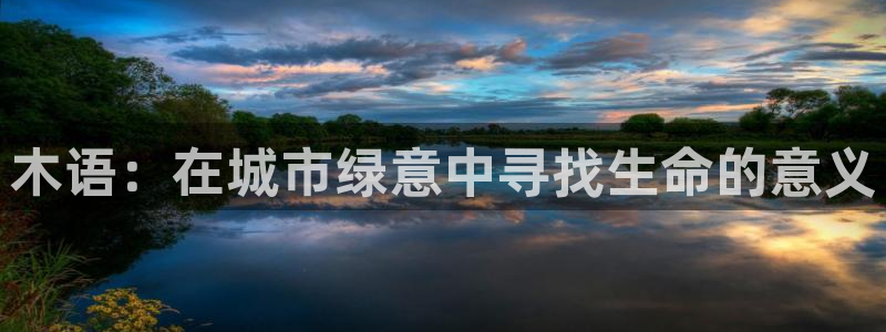 摩根娱乐¤股s东50015