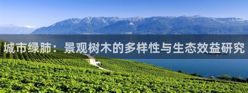 义乌摩根娱乐消费多少