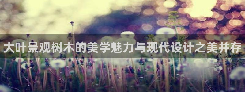 摩根娱乐1老o板50820