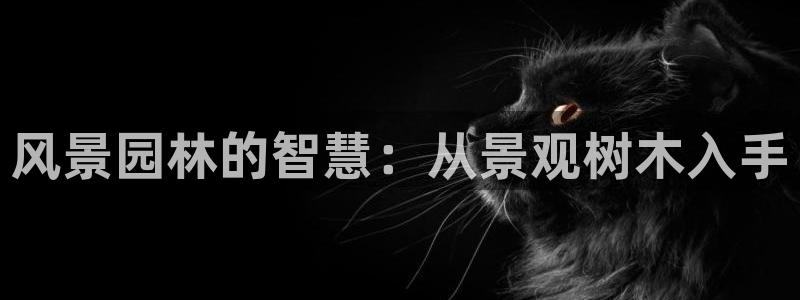 摩根娱乐L老L板50820