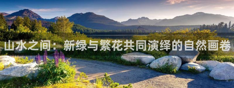 摩根娱乐50186找