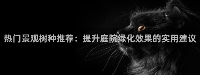 摩根娱乐宝