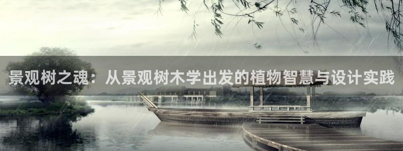 摩根娱乐宝怎么赚钱