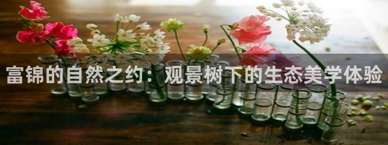 摩根娱乐是什么意思