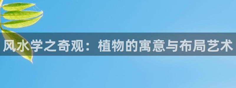 摩根娱乐宝诈骗