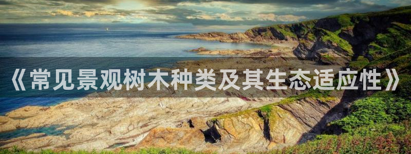 摩根娱乐宝口碑