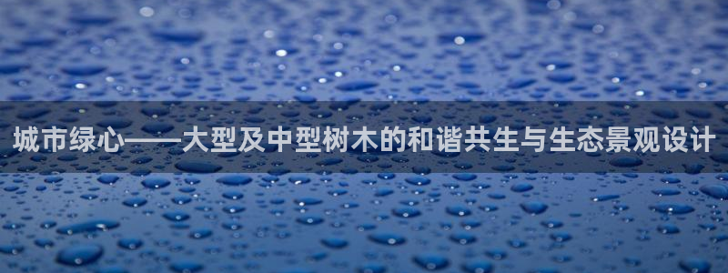 浙江义乌摩根娱乐场所