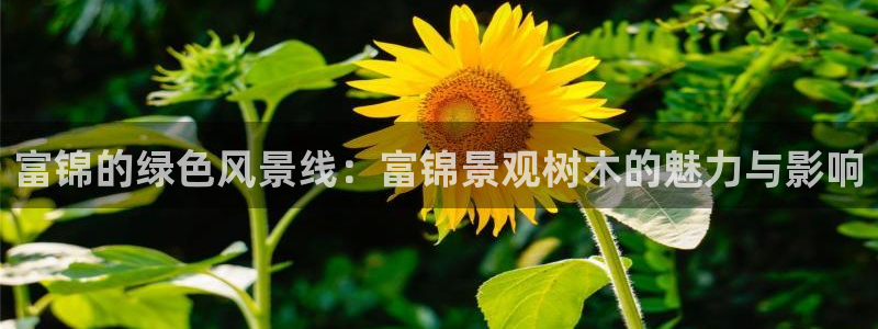 摩根娱乐50186夂