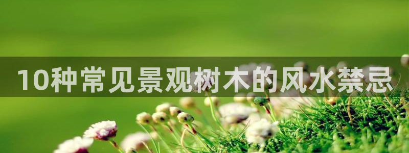 摩根国际娱乐宝书籍