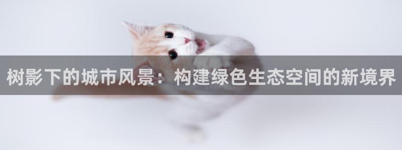 摩根室内娱乐