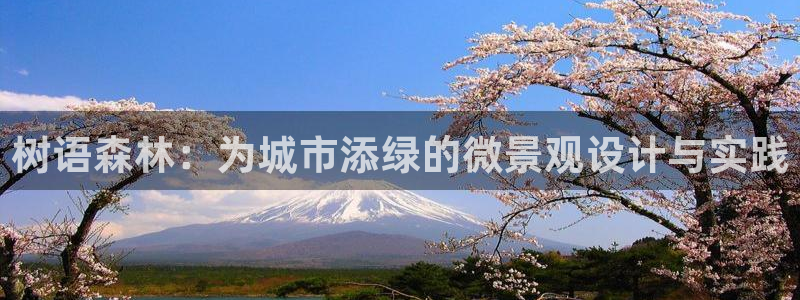 成都摩根娱乐会所