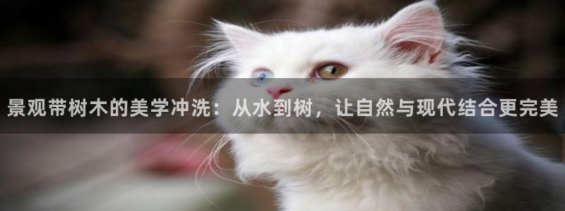 摩根大通投资娱乐公司