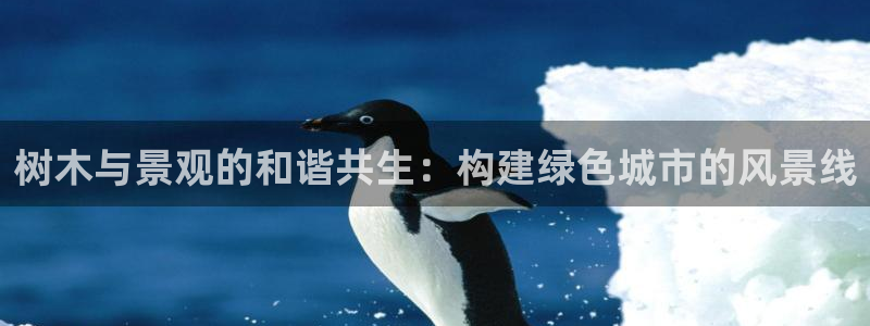 摩根娱乐¤股s东50015