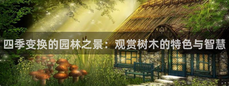 摩根娱乐视频大全