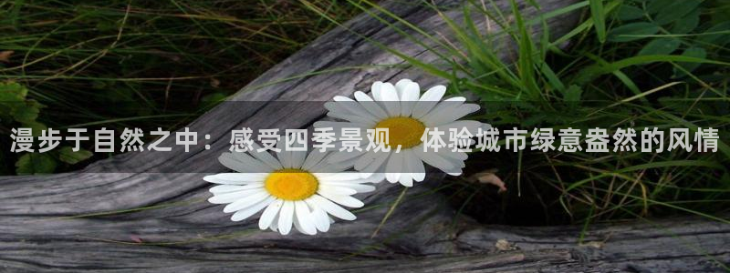 摩根国际娱乐