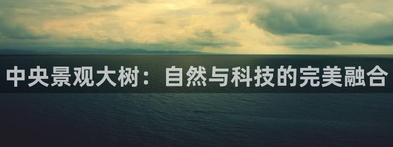 摩根娱乐50186加