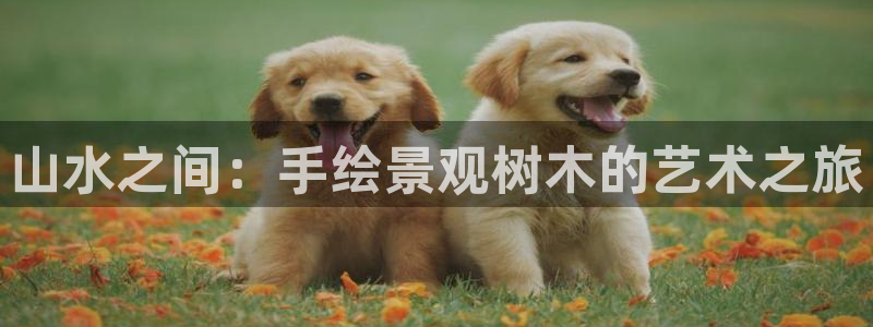 武汉摩根众睿娱乐
