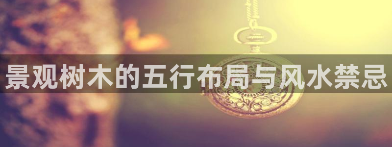 奥飞娱乐摩根调研