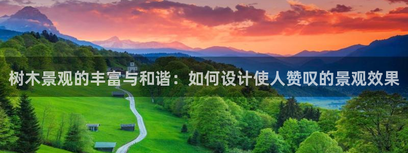摩根娱乐二三事：树木景观的丰富与和谐：如何设计使人赞叹的景观效果