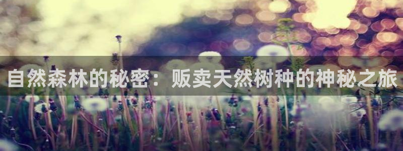 摩根娱乐 c招a商77130