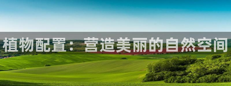 摩根娱乐50186加