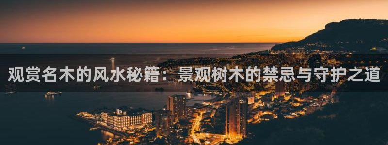 摩根国际娱乐宝官网