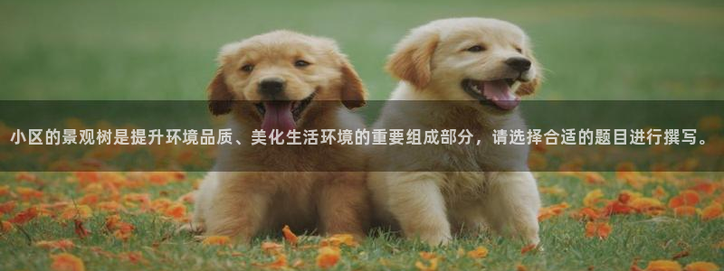 摩根娱乐开户总s管50015 18