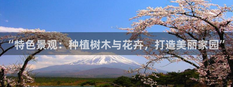 玩摩根娱乐宝亏了三千