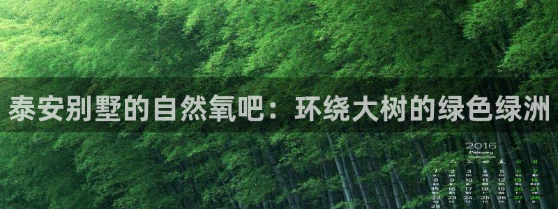 摩根娱乐宝是什么游戏
