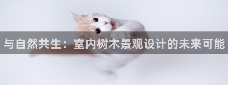 摩根娱乐宝怎么下载