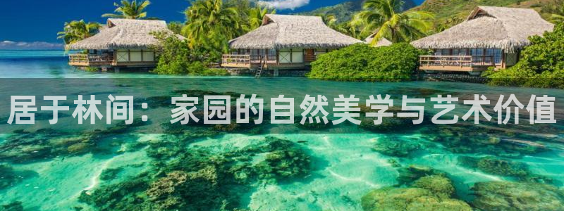 长沙摩根娱乐：居于林间：家园的自然美学与艺术价值