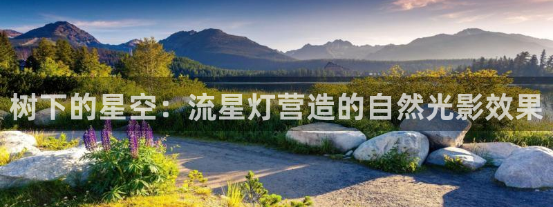 摩根转型娱乐的视频