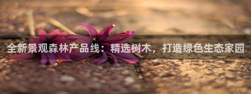 摩根娱乐宝邀请码