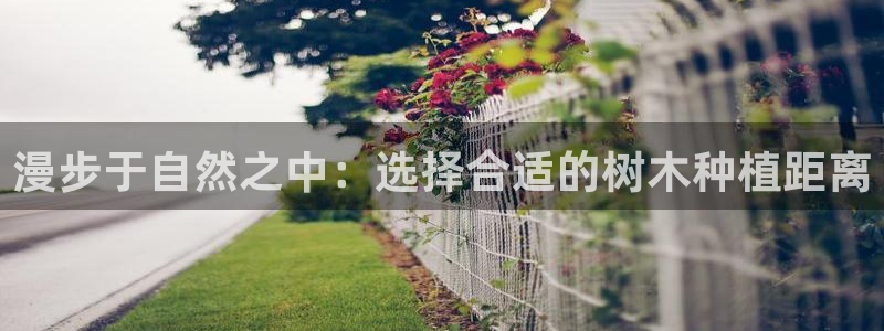 泉州摩根会娱乐有限责任公司管理
