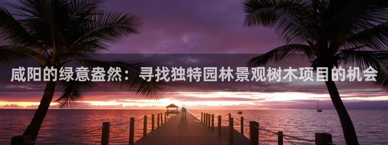 摩根娱乐总部在哪里