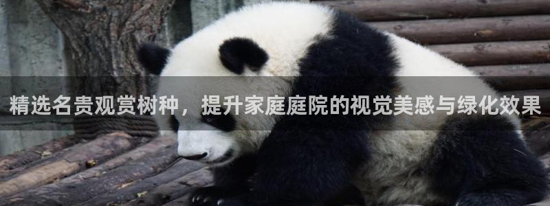 摩根娱乐宝平台下载