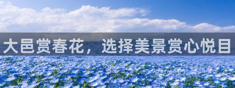 摩根娱乐宝怎么提现