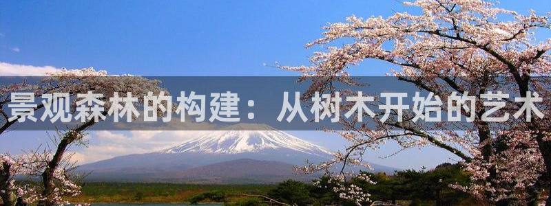 摩根中央公园娱乐