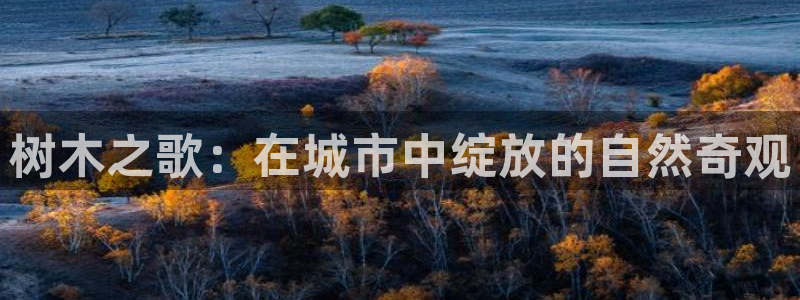 摩根娱乐宝的代理方式