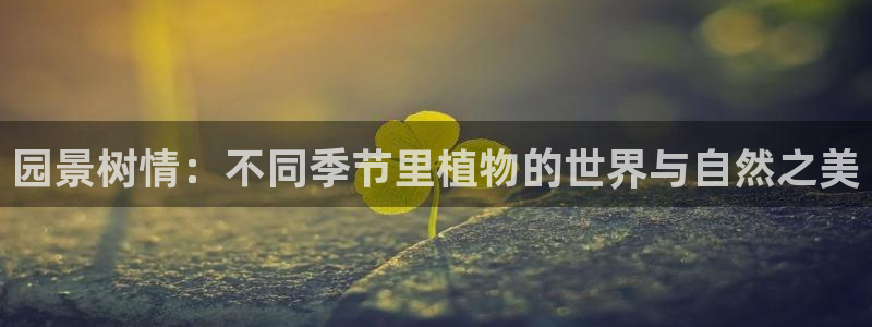 摩根娱乐和摩根国际