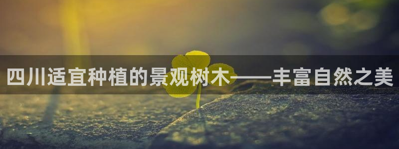 摩根娱乐宝。知道吗