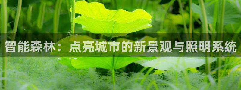 摩根娱乐老lb板50820